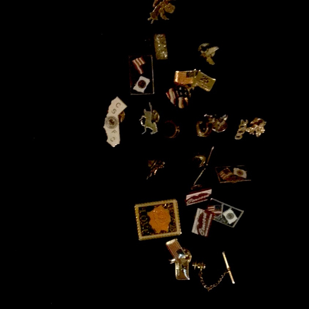 Assorted pins